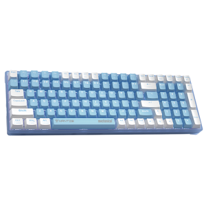 100 Keys Wired Mechanical Keyboard (Transparent Housing)