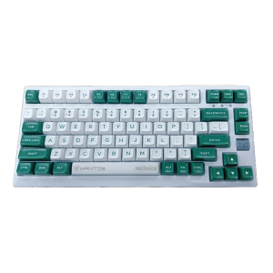 82 Keys Wired Mechanical Keyboard (PBT Keycaps)