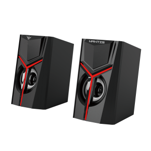 Computer Speakers